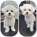 홍주위생