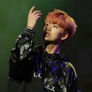 정진성 이미지