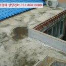 편백로-2 네이버블로그
