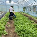 영온농장 이미지