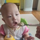 방실농장 | 친환경이유식 셋째도 역시 배달이유식 팜투베이비 믿고 먹여요