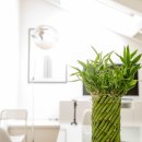 오랄아트 이미지