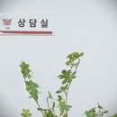 법무법인도움 - 수원시 영통구 광교중앙로248번길 40 | 법무법인도움