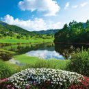 파인힐스골프장 | “파인힐스CC 라운딩 후기 – 자연 속에서 즐기는 힐링 골프”