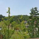 강남-122 이미지