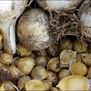 주아농장 이미지