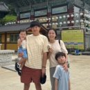 테라롯지 이미지