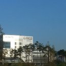 성남시청 모란관 이미지