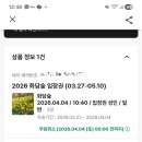 야놀자_4 | 화담숲 취소표 4장 성공 후기 🌸 암표 없이 야놀자 명당 시간 잡는 법 (입장 시간의 비밀)