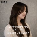 성희헤어 | 준오헤어 동탄솔빛나루점 후기｜레이어드컷+케라스타즈 클리닉 B코스, 성희 디자이너 섬세한 관리