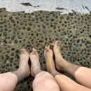 자양 게임장 | [05.05.23 금] 오사카 여행 3일차 (오사카성 공원, 소라니와 온천, 하루카스 300 전망대)