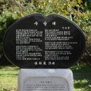 신보성