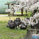 의령예술촌(야외) 이미지