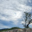 구릉도원 이미지