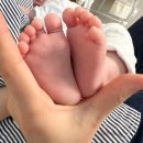 사임당유니온 - 고양시 덕양구 | 동작구 도담도담 산후도우미 3주 이용후기(양덕희 산후관리사님 추천!)