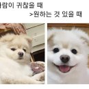 할아버지떡볶이 네이버블로그