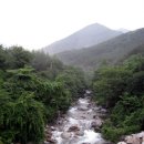 풍산농산 이미지