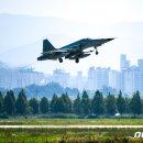 고흥청과 이미지