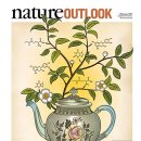 The science of tea’s mood-altering magic - 차의 마법같은 효과의 과학 nature 이미지