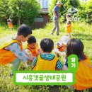 숲속곤충마을
