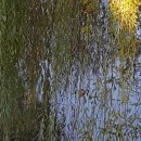 용인조정경기장 이미지