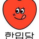 한입마카롱