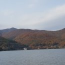 상풍상사 Daum카페