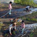 손자농장 이미지