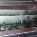 민물나라 이미지