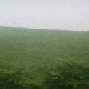 제2운산농장 이미지