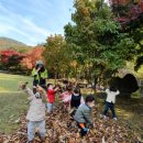 숲이있는 어린이집 이미지