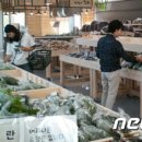 로컬푸드직매장(도담동) 이미지