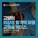 태안 동물병원 이미지