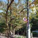 수원팔색길 지게길 이미지