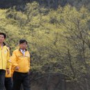 산수유권역 이미지
