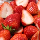 햇빛 좋은 PT 이미지