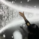 네이처라이트