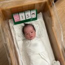 (주)우루루산본점 | 산후조리원 11~12일차 | 주사 맞고 낮잠자며 회복하는 일상, 뉴본 촬영