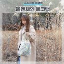 프리미엄 에코백 볼앤체인 고급자수 활용성에 반한 후기