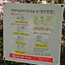 자동우량경보시설 | 지리산 1박2일 (1일차) (음정마을~벽소령대피소)(2026/05/09)