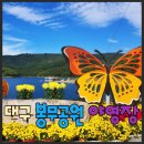 봉무공원야영장 | 봉무공원 야영장 꿀팁과 주차장 &amp; 놀이터 정보 알고 싶다면?