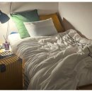 리브가 스테이 이미지