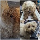 신암면041 이미지