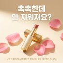 글로시드코리아 | 샬랑 드 파리 지속력 좋은 안 지워지는 쥬얼 샤인 립스틱 4.5g 촉촉광 오래가는 법