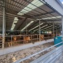 포항시 북구청 이미지