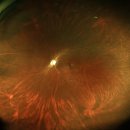 삼성수안과의원 이미지