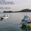 머리나라머리세상 Daum카페