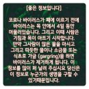 백신없는 코로나 19대처＜＜ 소금 이미지