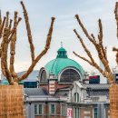 조코라인 이미지