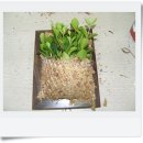 홀리병원 이미지